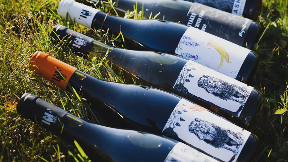Coffret 6 bouteilles de vin : découverte Terre Fauve