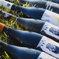 Coffret 6 bouteilles de vin : découverte Terre Fauve